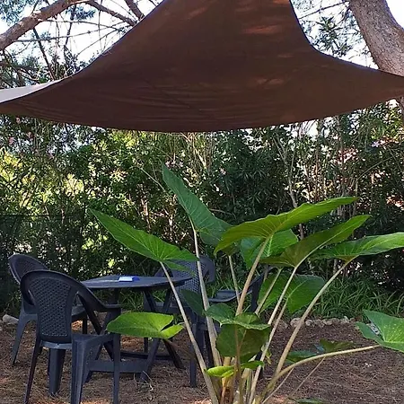 度假居 Casa Pineta *