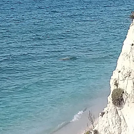 Casa Pineta 度假居