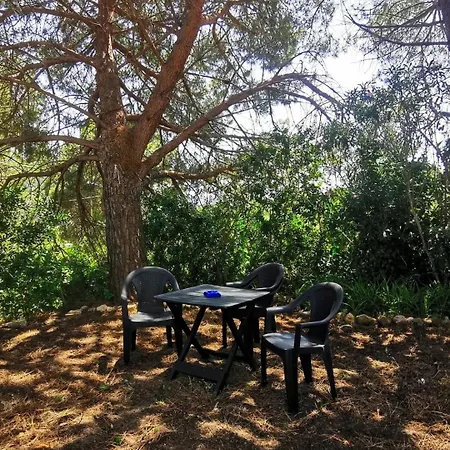 度假居 Casa Pineta *