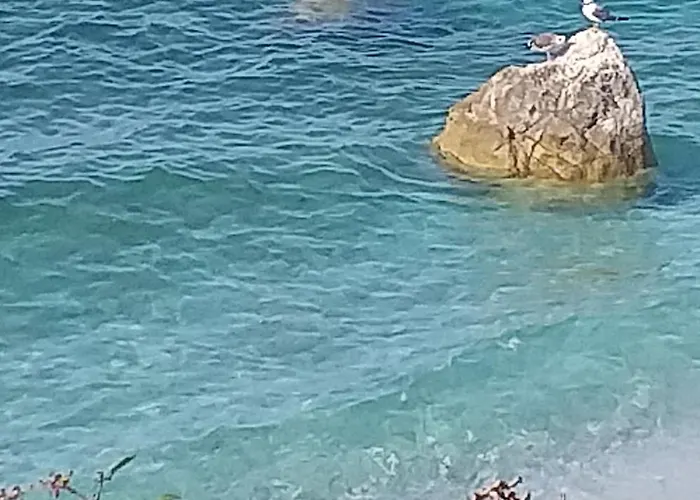 Casa Pineta *