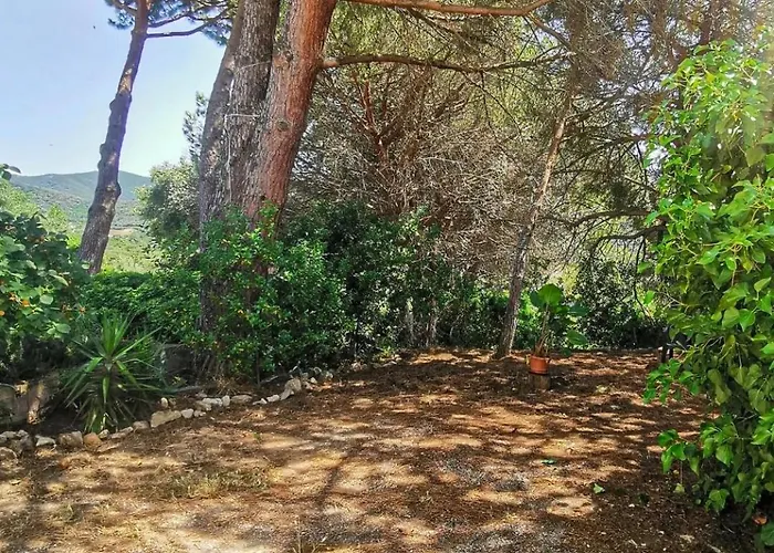 Casa Pineta