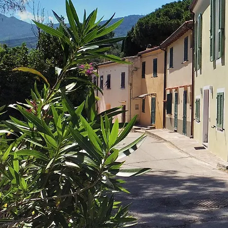 Σπίτι διακοπών Casa Pineta Procchio (Isola d'Elba)